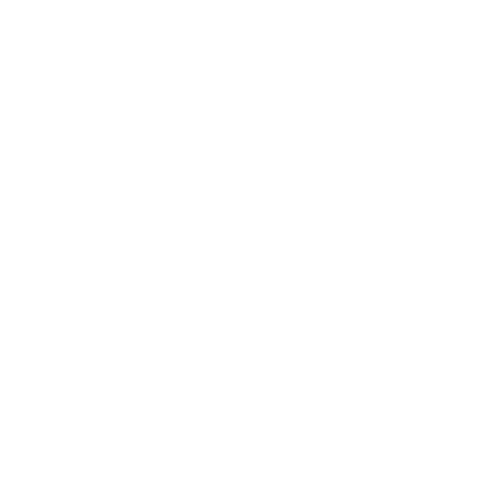 Developer